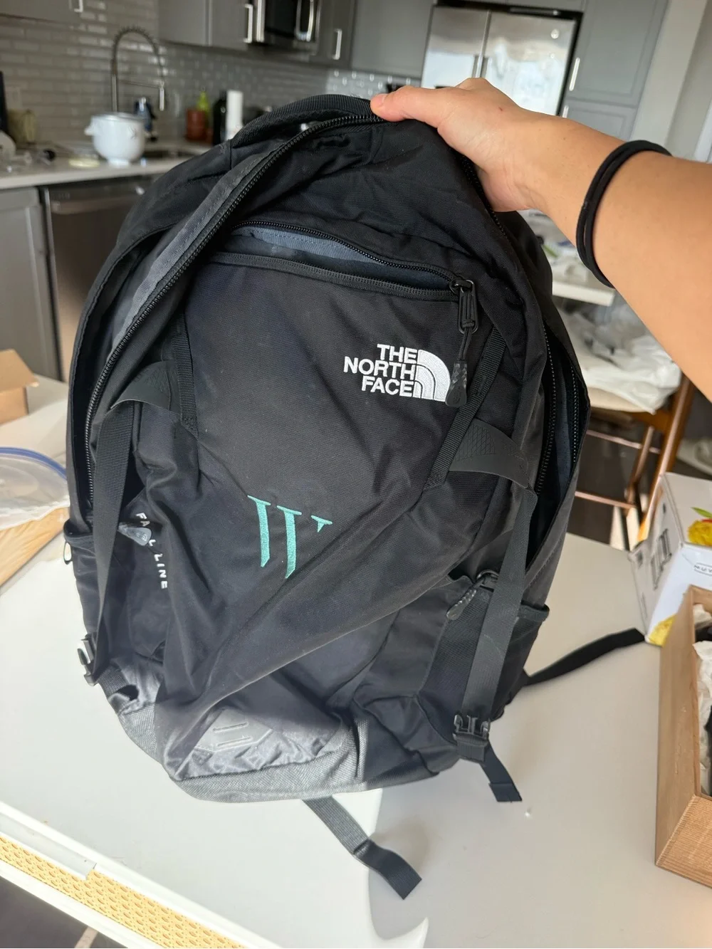 The North Face Fall Line Black Backpack